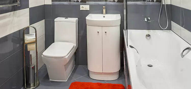 Hansgrohe Shaving Mirror Terrebonne